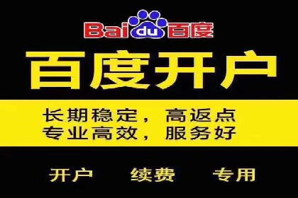 百度网络推广实战案例：从零开始打造爆款品牌