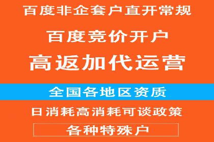 SEM代运营公司助力企业高效推广案例解析